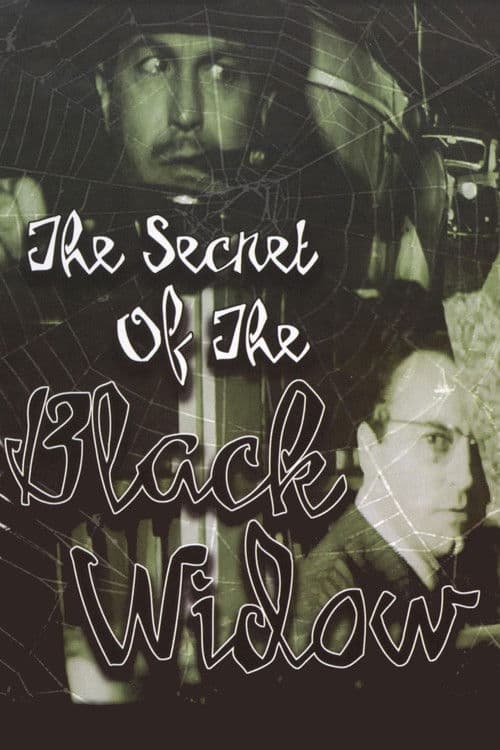 The Secret of the Black Widow poster