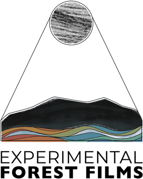 Experimental Forest Films