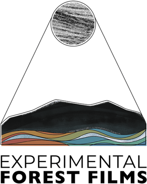 Experimental Forest Films