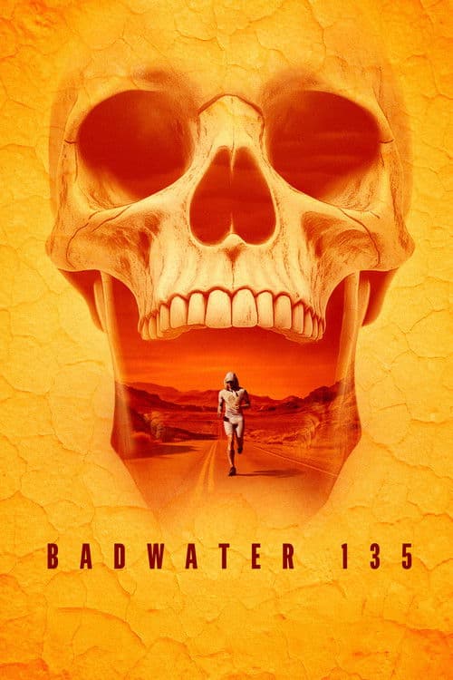 The Badwater 135: ULTRA - The Long Run poster