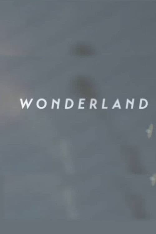 Wonderland | A Short Form Doc on Creative Commerce poster