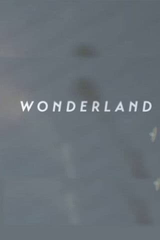 Wonderland | A Short Form Doc on Creative Commerce poster