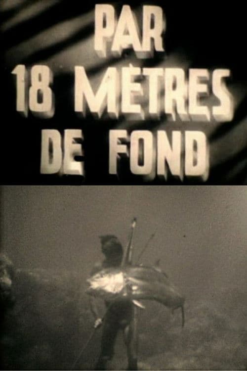 At a Depth of Eighteen Meters poster