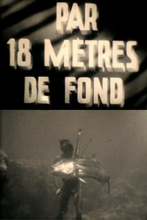 At a Depth of Eighteen Meters poster