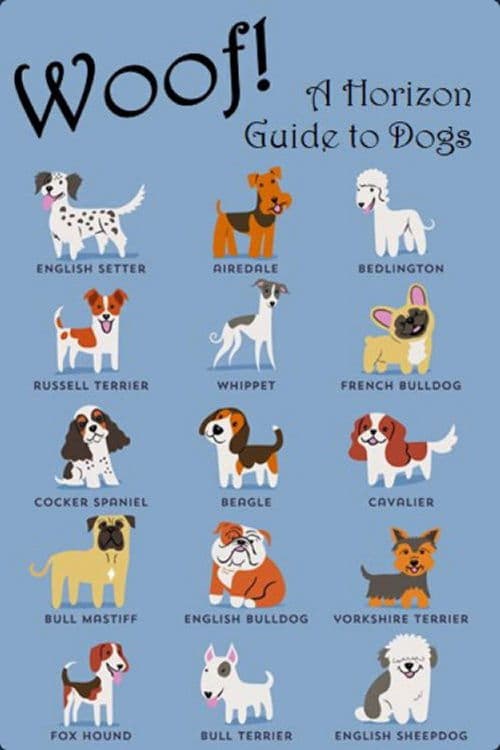 Woof! A Horizon Guide to Dogs poster