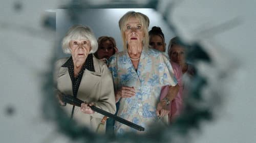 The Pension Heist poster