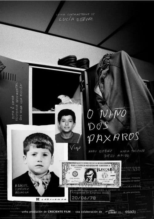 O niño dos paxaros poster