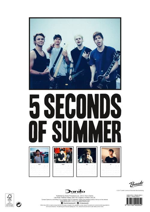 5 Seconds of Summer - Rock in Rio Ao Vivo poster