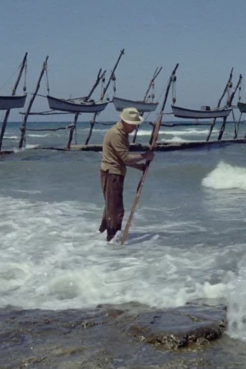 The Colour of Memory poster