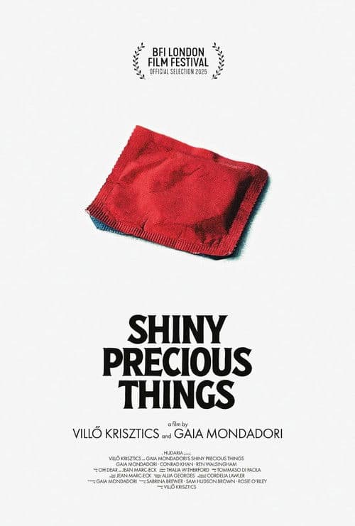 Shiny Precious Things poster