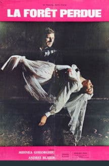 The Lost Forest poster