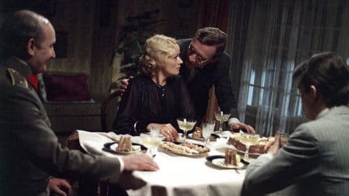 Můj nezdolný lev poster