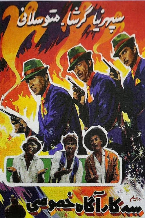 Three Private Detectives poster