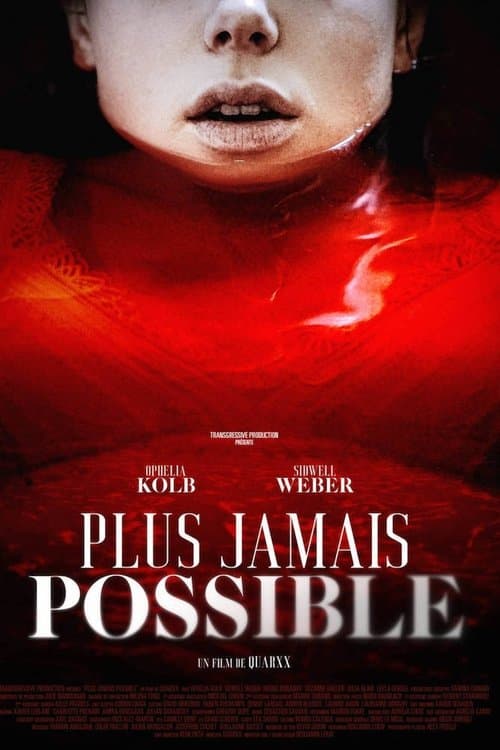 Plus jamais possible poster