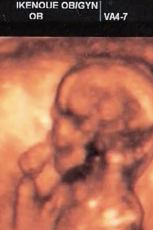 Take the Wind poster