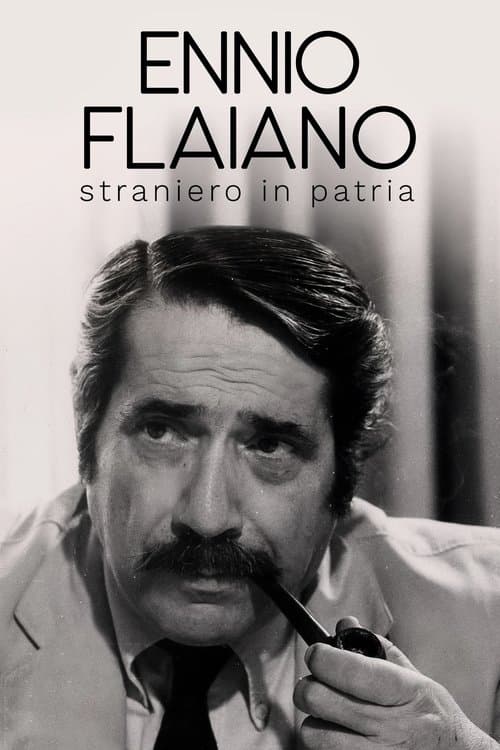 Ennio Flaiano, straniero in patria poster