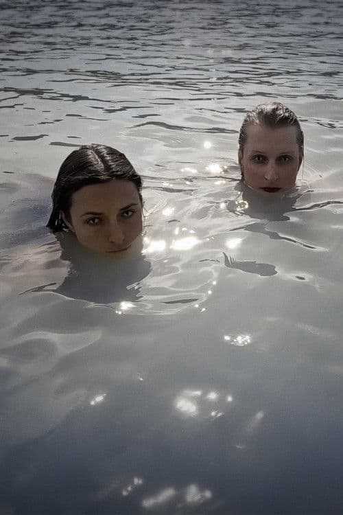 Gay by Nature poster