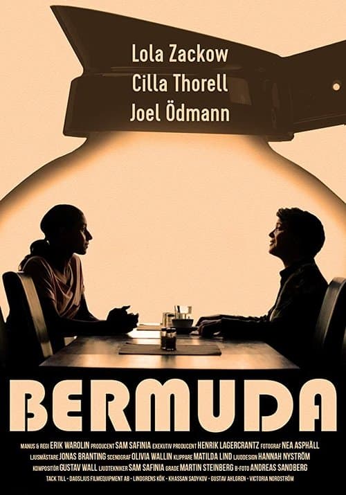 Bermuda poster