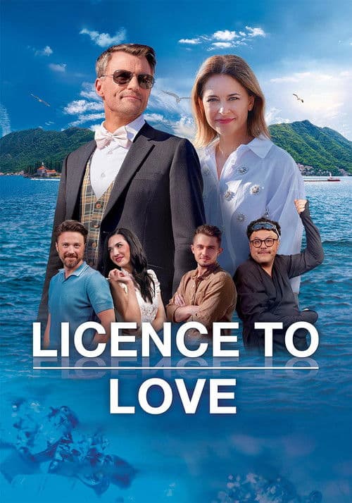 Licence to Love poster