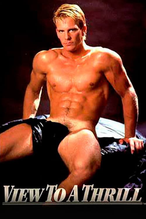 View To A Thrill poster