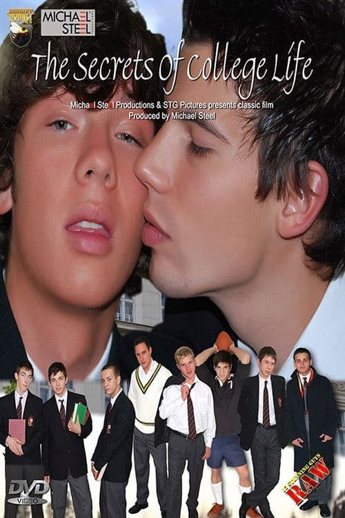 The Secrets Of College Life poster