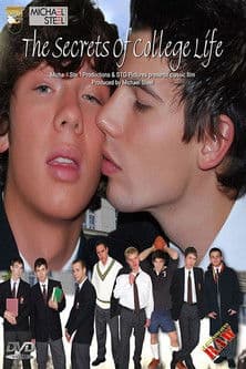 The Secrets Of College Life poster