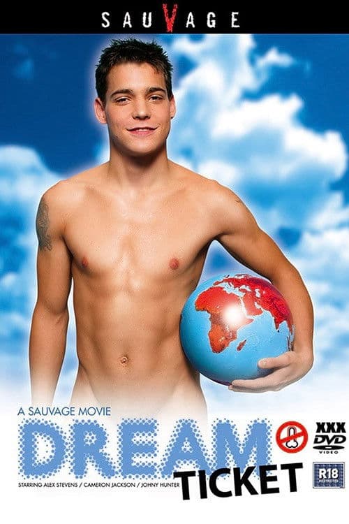 Dream Ticket poster