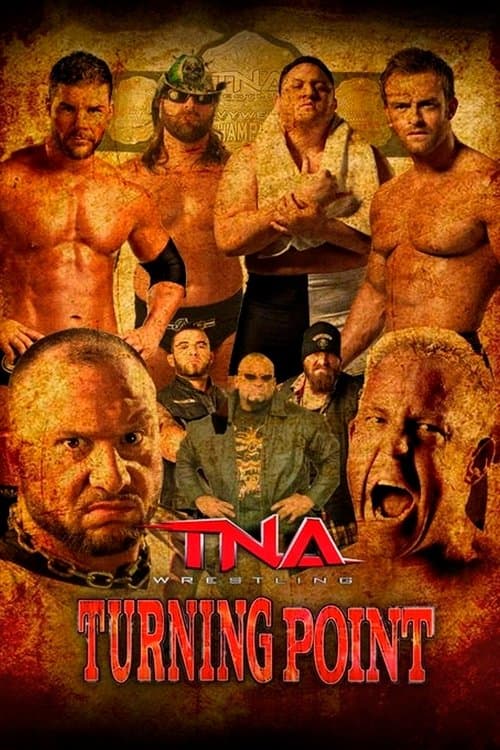 TNA Turning Point 2013 poster