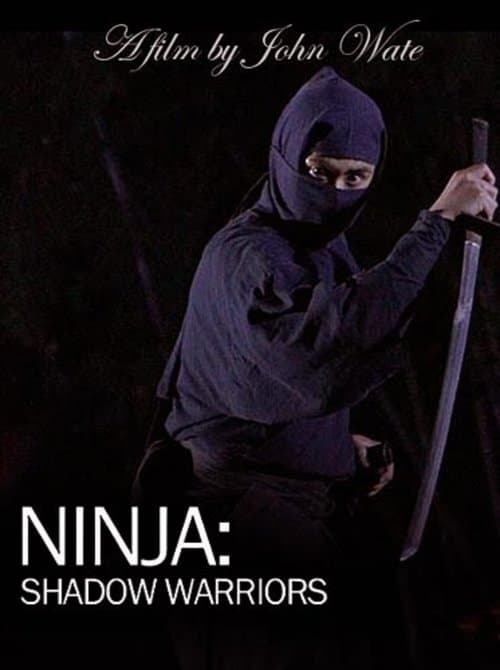 Ninja Shadow Warriors poster