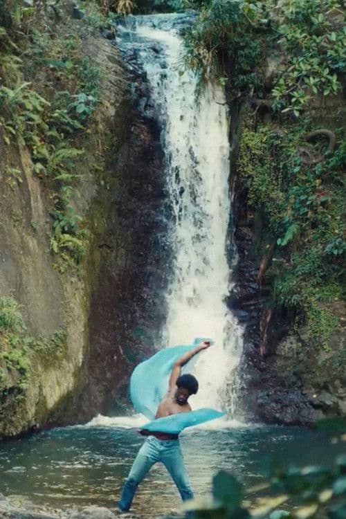 Almost An Adult poster