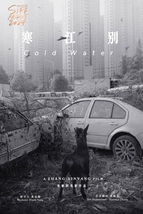 Treatise on Cold Pathogenic Diseases poster