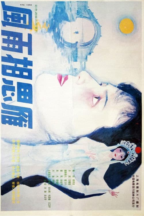 风雨相思雁 poster