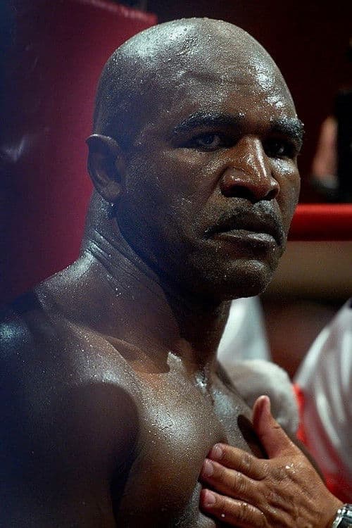 Evander Holyfield vs. Brian Nielsen poster