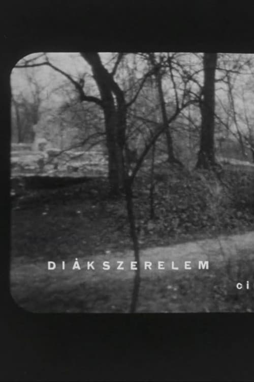 Diákszerelem poster