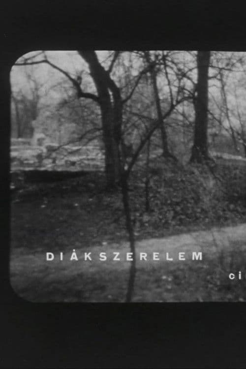 Diákszerelem poster