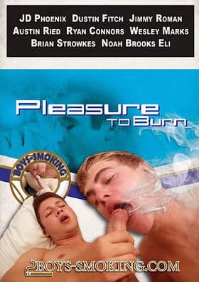 Pleasure to Burn poster