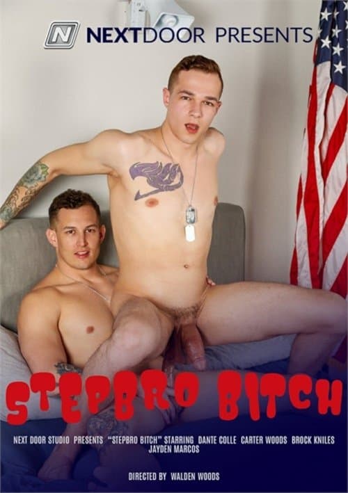 Stepbro Bitch poster