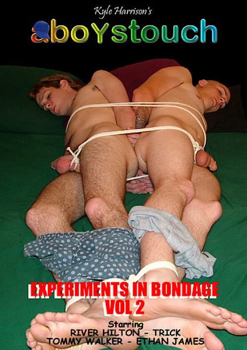 Experiments In Bondage 2 poster