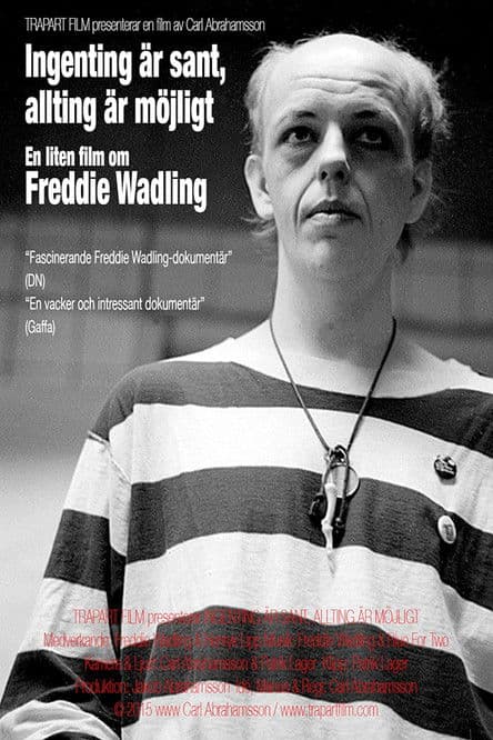 Ingenting är sant, allting är möjligt – en liten film om Freddie Wadling poster