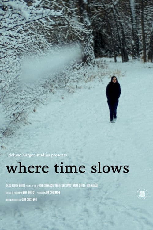 where time slows poster