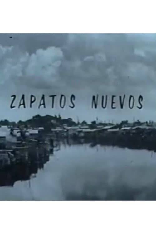 Zapatos nuevos poster