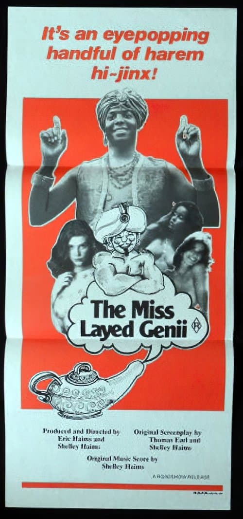 The Mislayed Genie poster