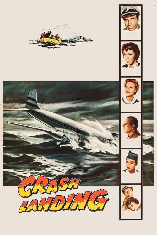 Crash Landing poster
