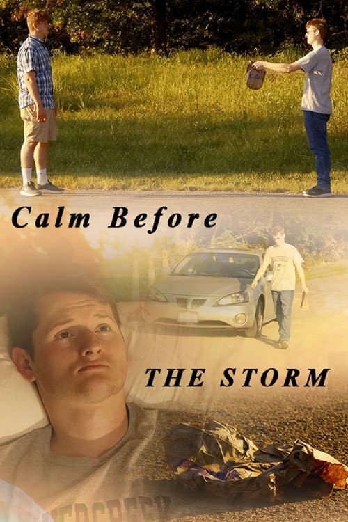 Calm Before The Storm poster