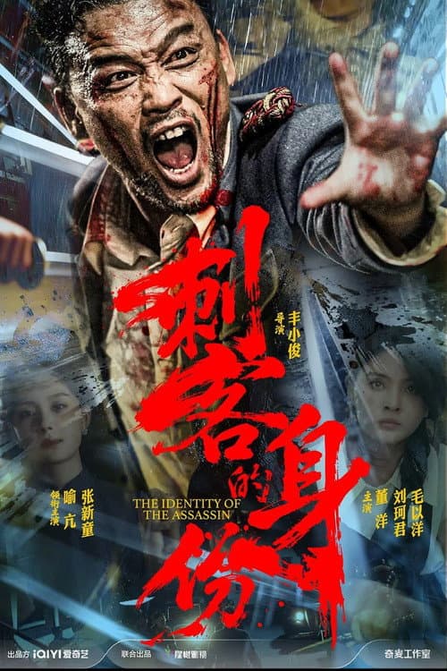 刺客的身份 poster