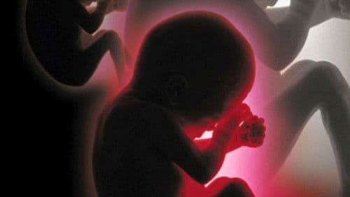 Proyecto Cassandra poster