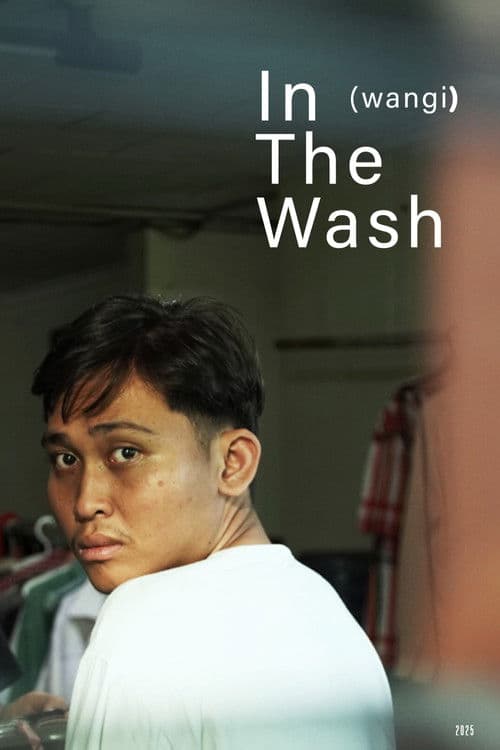 In The Wash poster