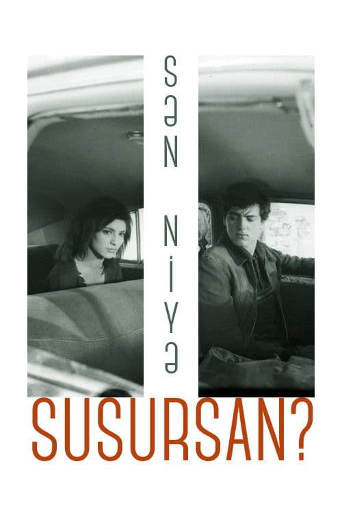 Why do You Remain Silent? poster