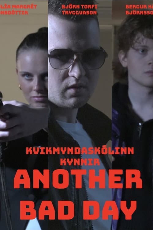 Another Bad Day poster