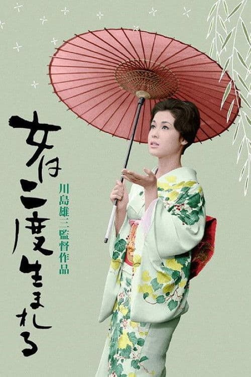 A Geisha's Diary poster